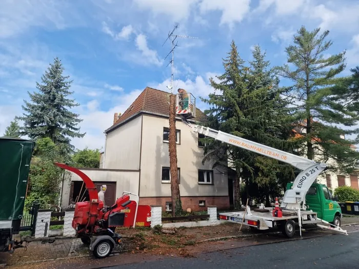 Baumpfleger in einem Hebekorb f&auml;llt einen Baum vor einem Haus